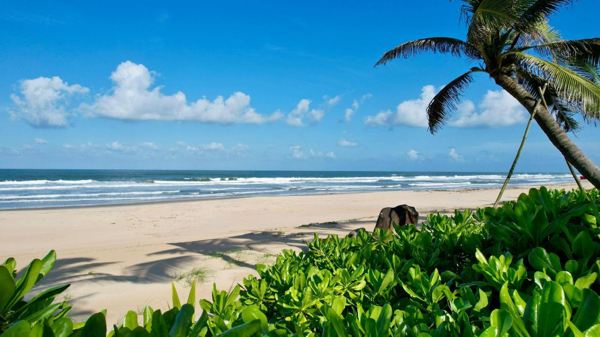 Bliss Hoi An Beach Resort & Wellness Ha Binh Dış mekan fotoğraf